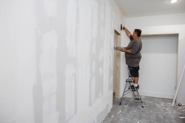 Best Mold Odor Removal Services  in Goldstream, AK