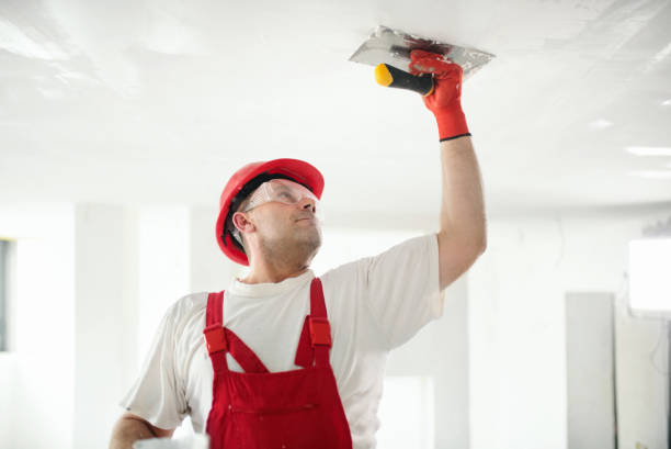 Best Basement Mold Removal  in Goldstream, AK