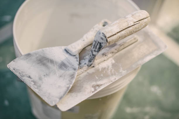 Best Mold Remediation for Healthcare Facilities  in Goldstream, AK